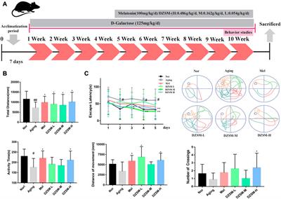 Multi-omics reveals Dengzhan Shengmai formulation ameliorates cognitive impairments in D-galactose-induced aging mouse model by regulating CXCL12/CXCR4 and gut microbiota